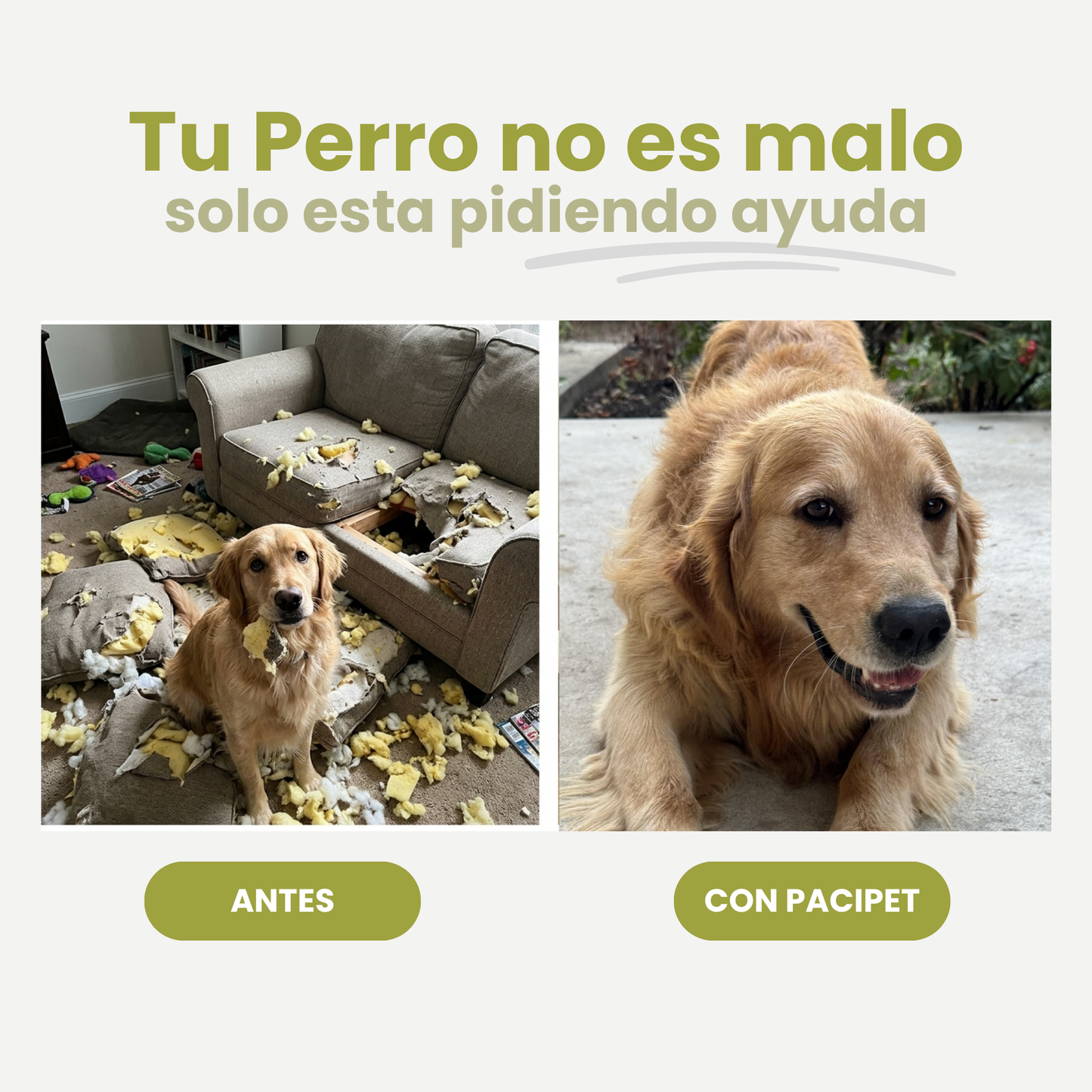 PaciPet™ Difusor Calma Pet