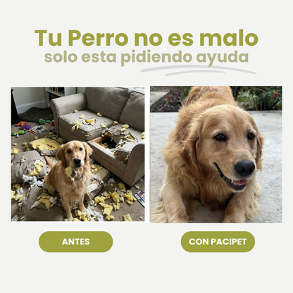 PaciPet™ Difusor Calma Pet